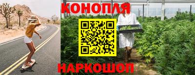 jwh Будённовск