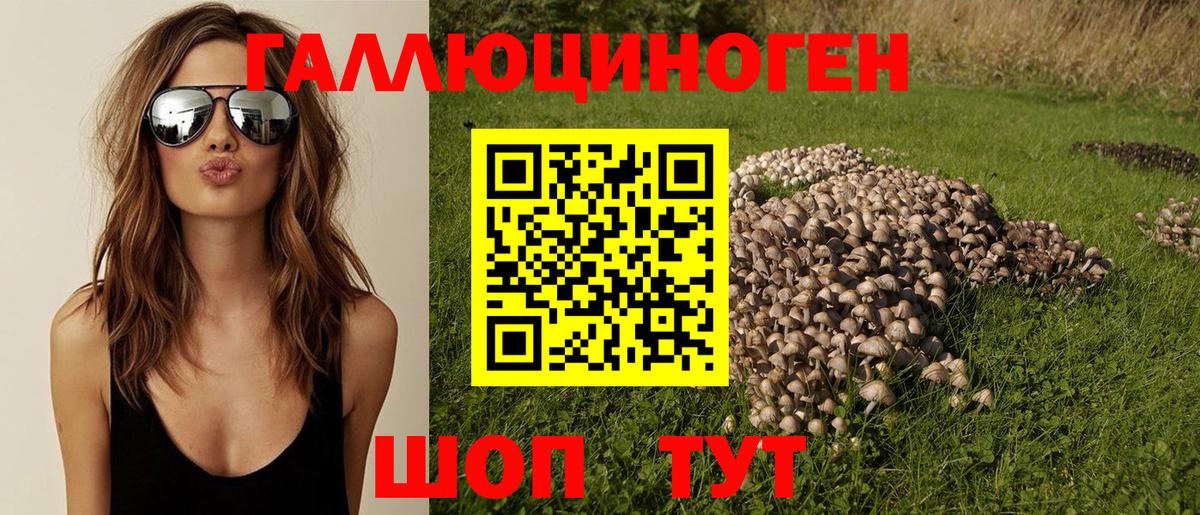 Галлюциногенные грибы мицелий  Вход с VPN  Магадан 